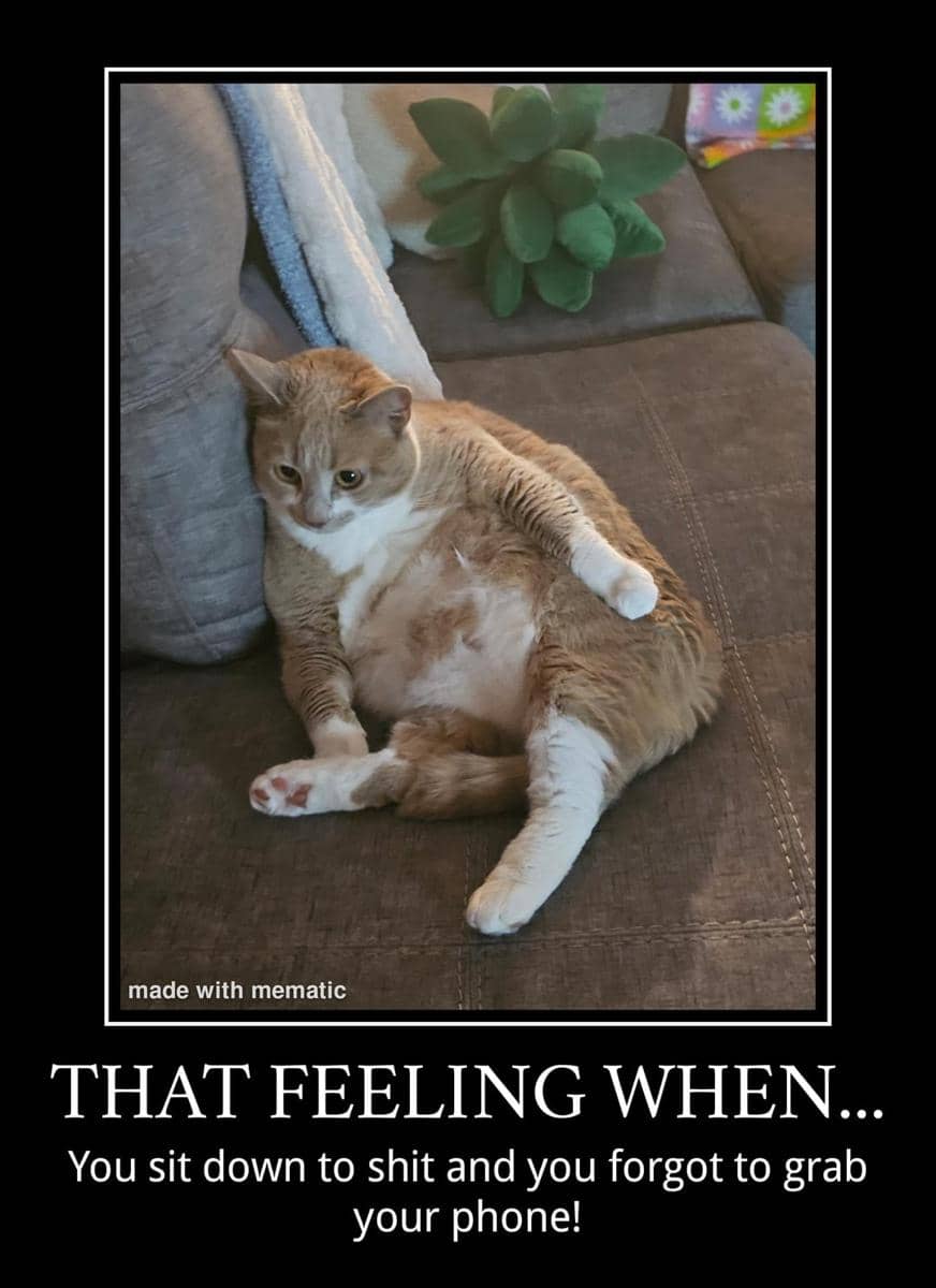 meme kucing tentang HP