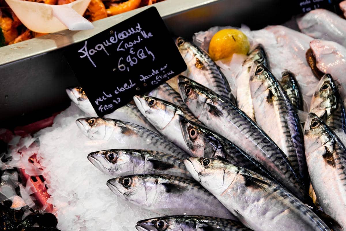 Beberapa ikan kembung segar tersusun di atas es di pasar ikan dengan label harga dan potongan lemon di dekatnya.