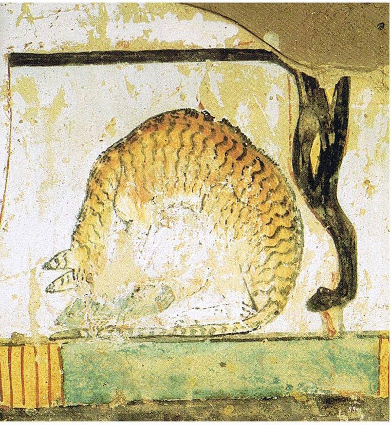 lukisan kucing dari abad 15 sebelum Masehi