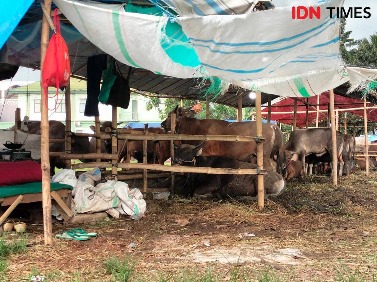 Program Tabungan Kurban di Bekasi, Bantu Warga Beli Sapi Patungan
