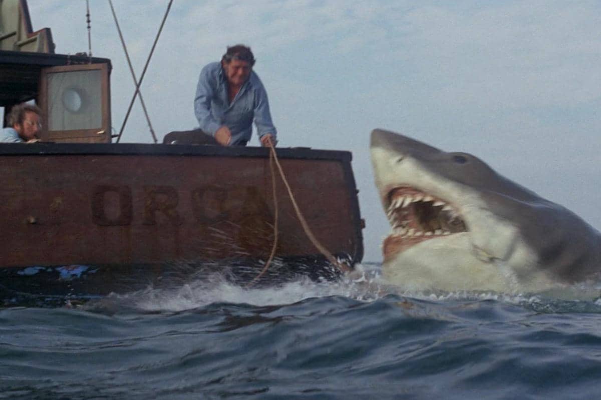 cuplikan dalam film Jaws