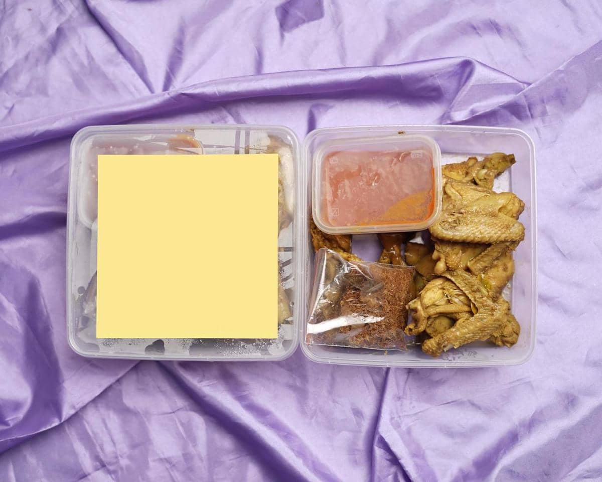 ilustrasi frozen food