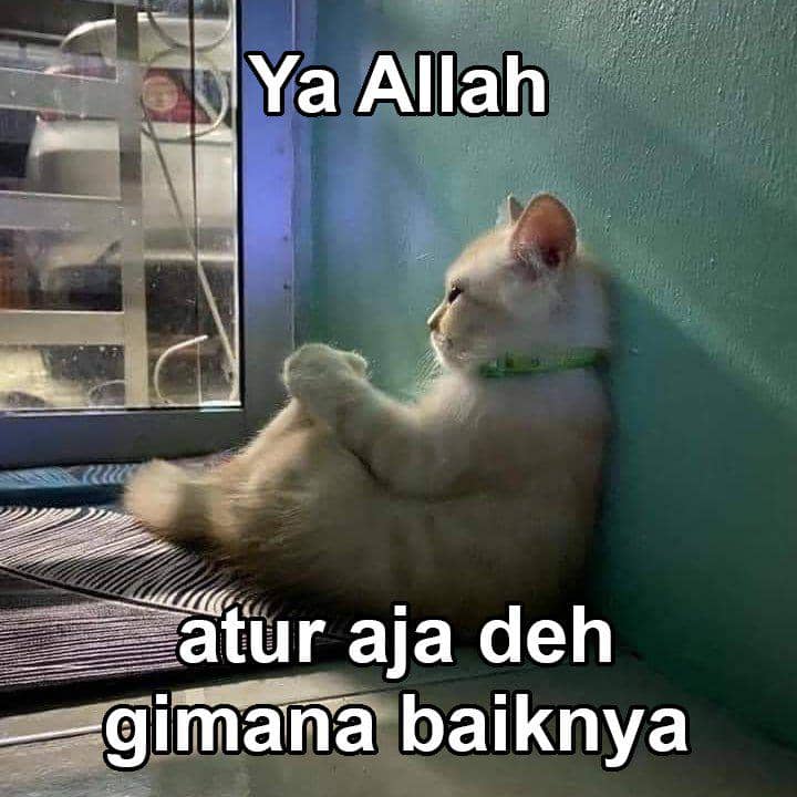 7 Meme Doa Orang Pasrah, Cuma Pengin Hidup Dipermudah