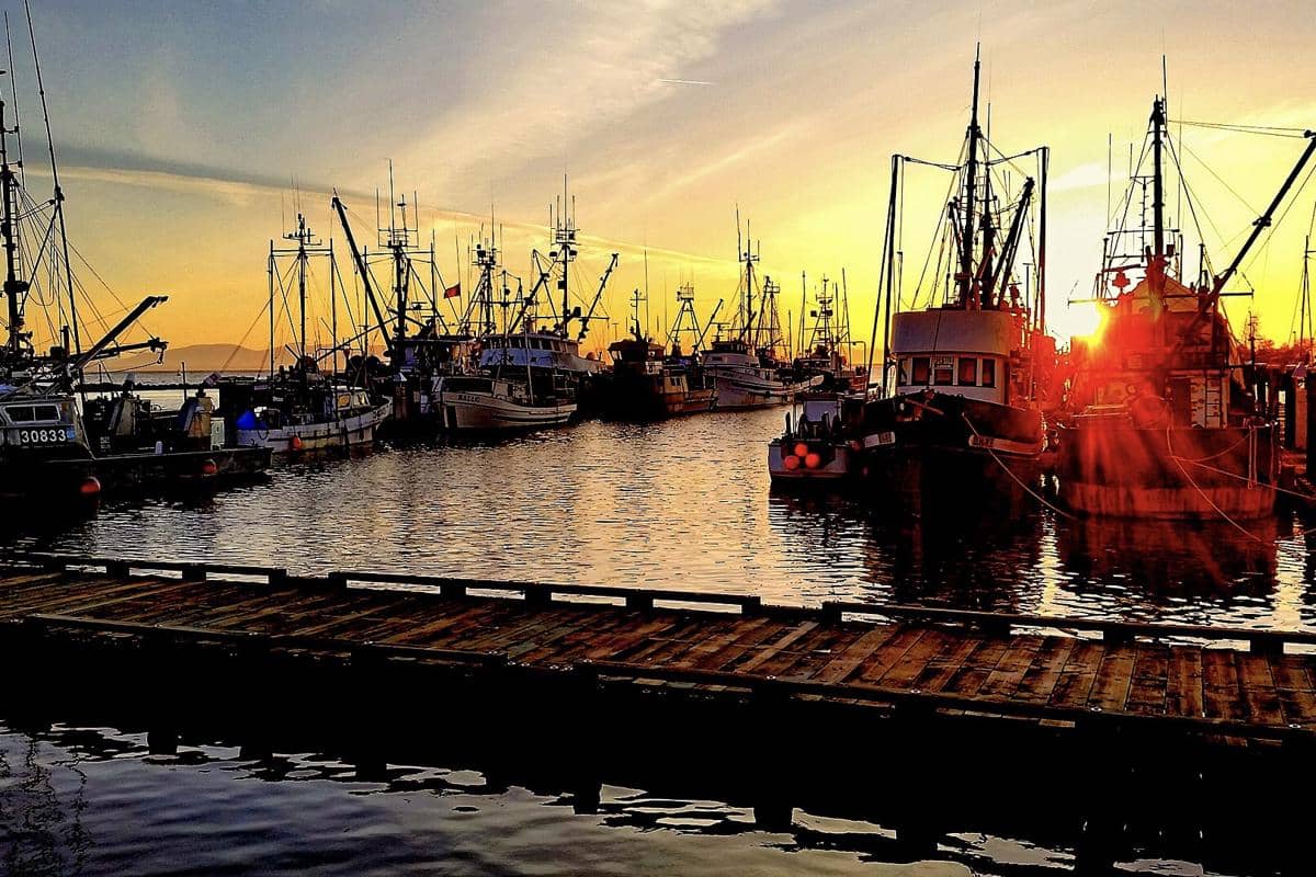 pemandangan matahari terbenam di Stevestoj Harbour
