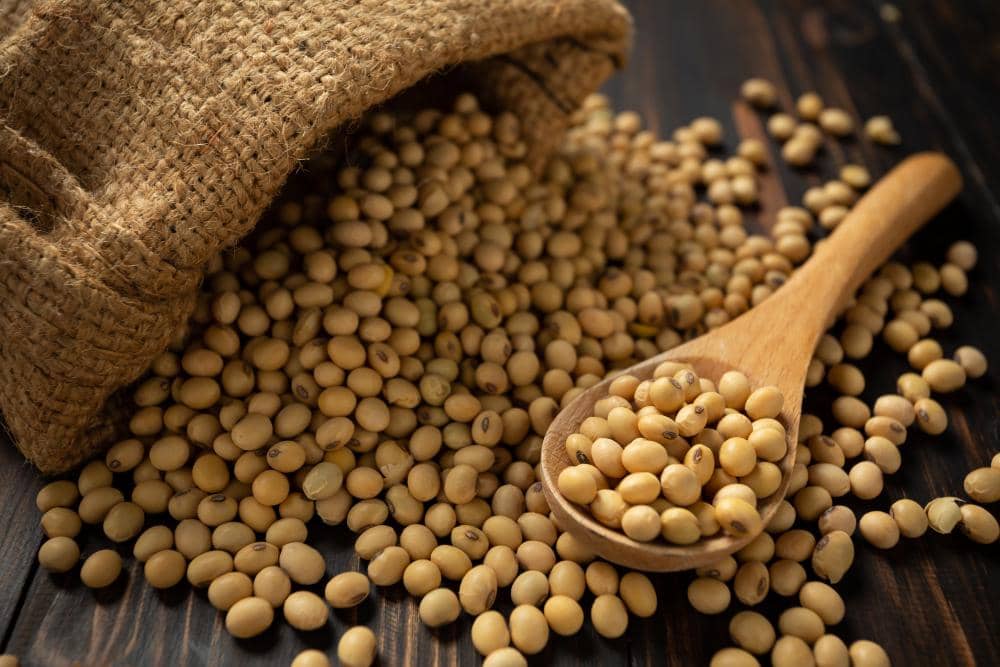 7 Bahan Makanan Impor dari Luar Negeri, Harga Rawan Naik!