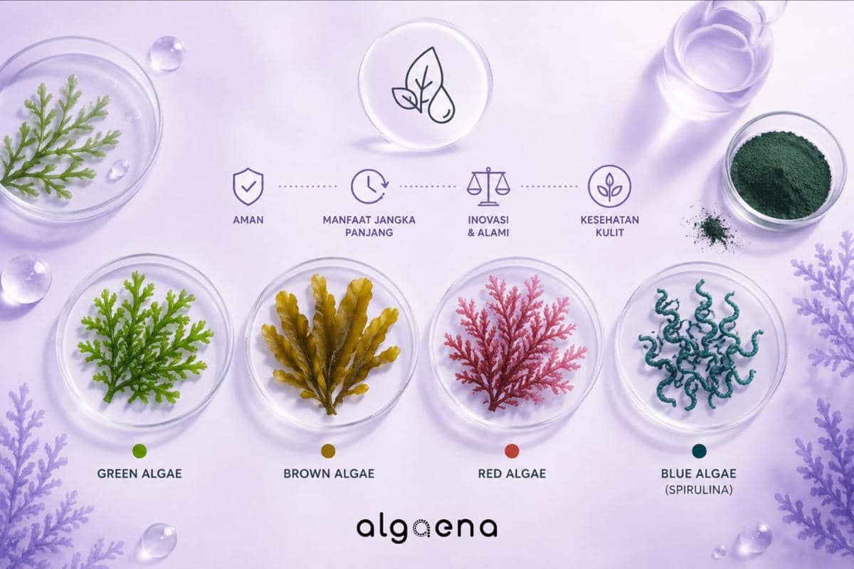 Skincare Berbahan Algae Mulai Dilirik untuk Perawatan Kulit (Dok. Algaena)