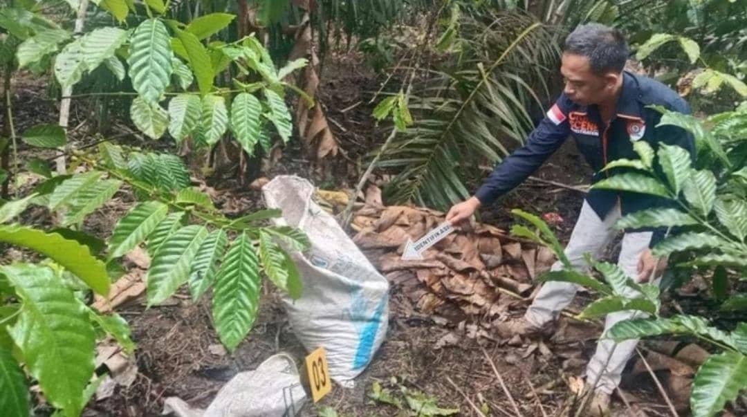 Polisi Bongkar Pembunuhan di Kebun Kopi OKU Selatan, 1 Pelaku Buron