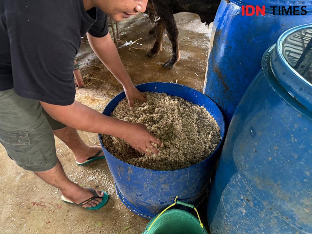 Pakan sapi bungkil kedelai (dok. IDN Times/Zahira Hilman)