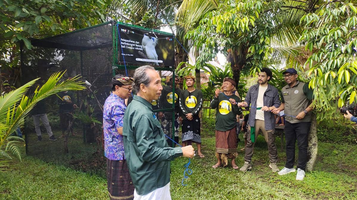 Delapan Curik Bali Dilepasliarkan di Pejeng Gianyar
