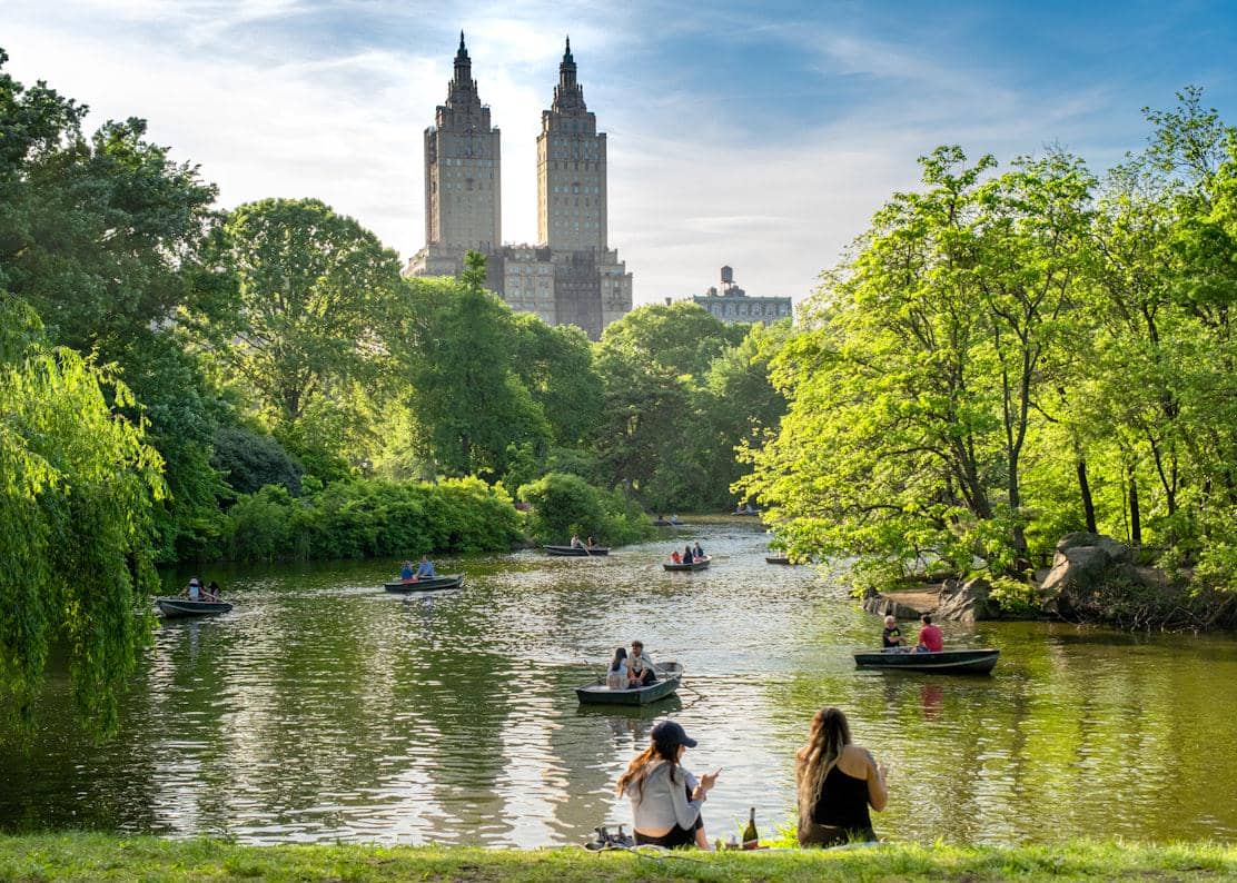 ilustrasi Central Park, New York