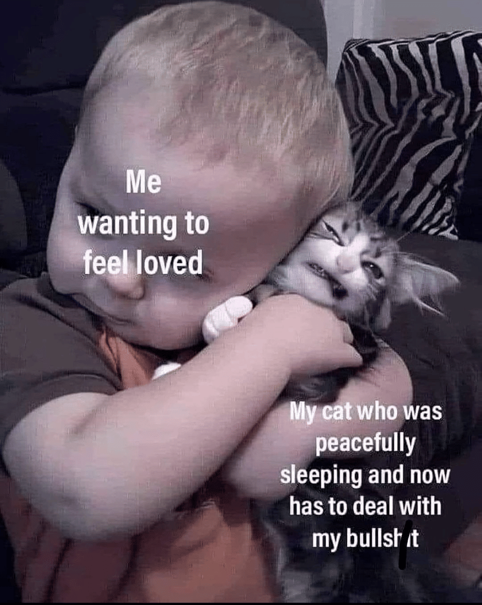 meme kucing tentang kedamaian