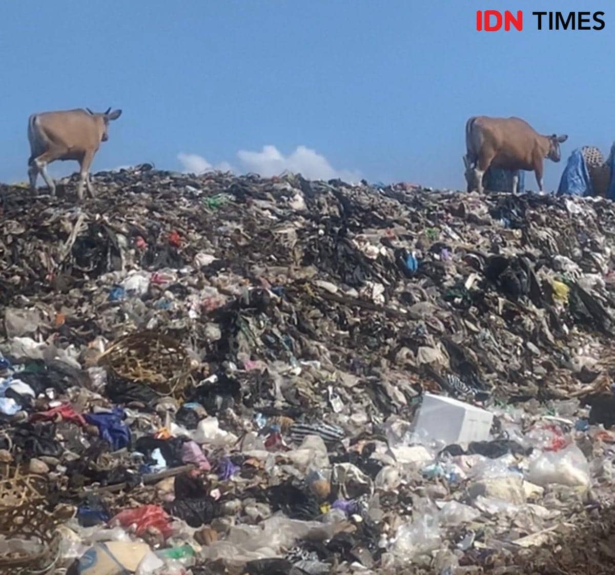 Sampah Gili Trawangan Menggunung, Insinerator Bantuan KKP "Nganggur"