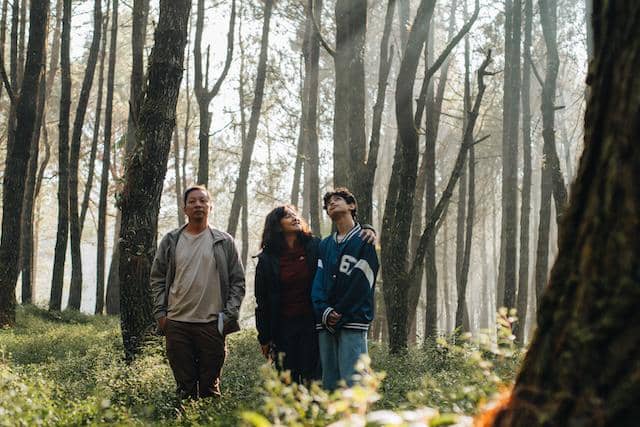 Tiga orang berdiri di tengah hutan pinus dengan cahaya matahari menembus pepohonan, tampak menikmati suasana alam yang tenang.