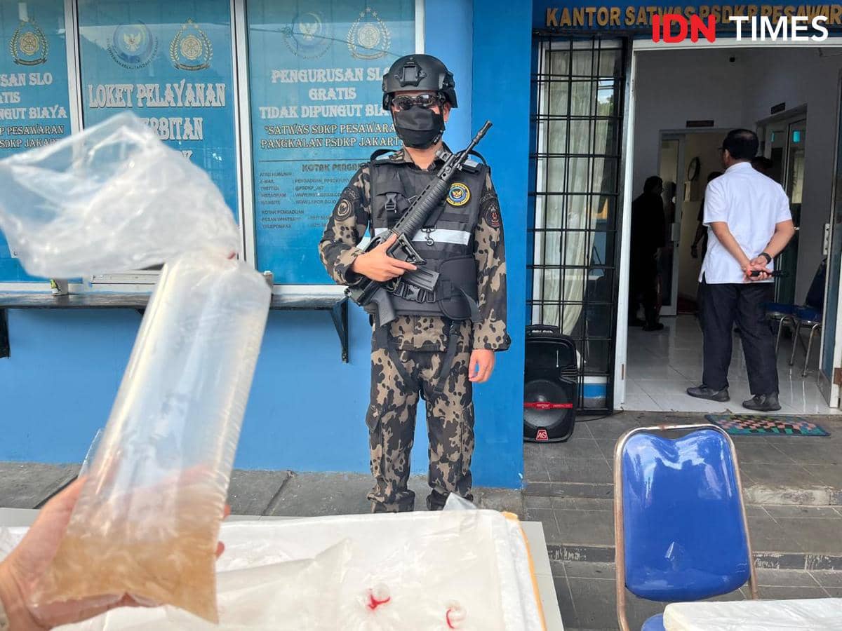 KKP Gagalkan Aksi Penyelundupan Benih Lobster Rp4,6 Miliar di Lampung