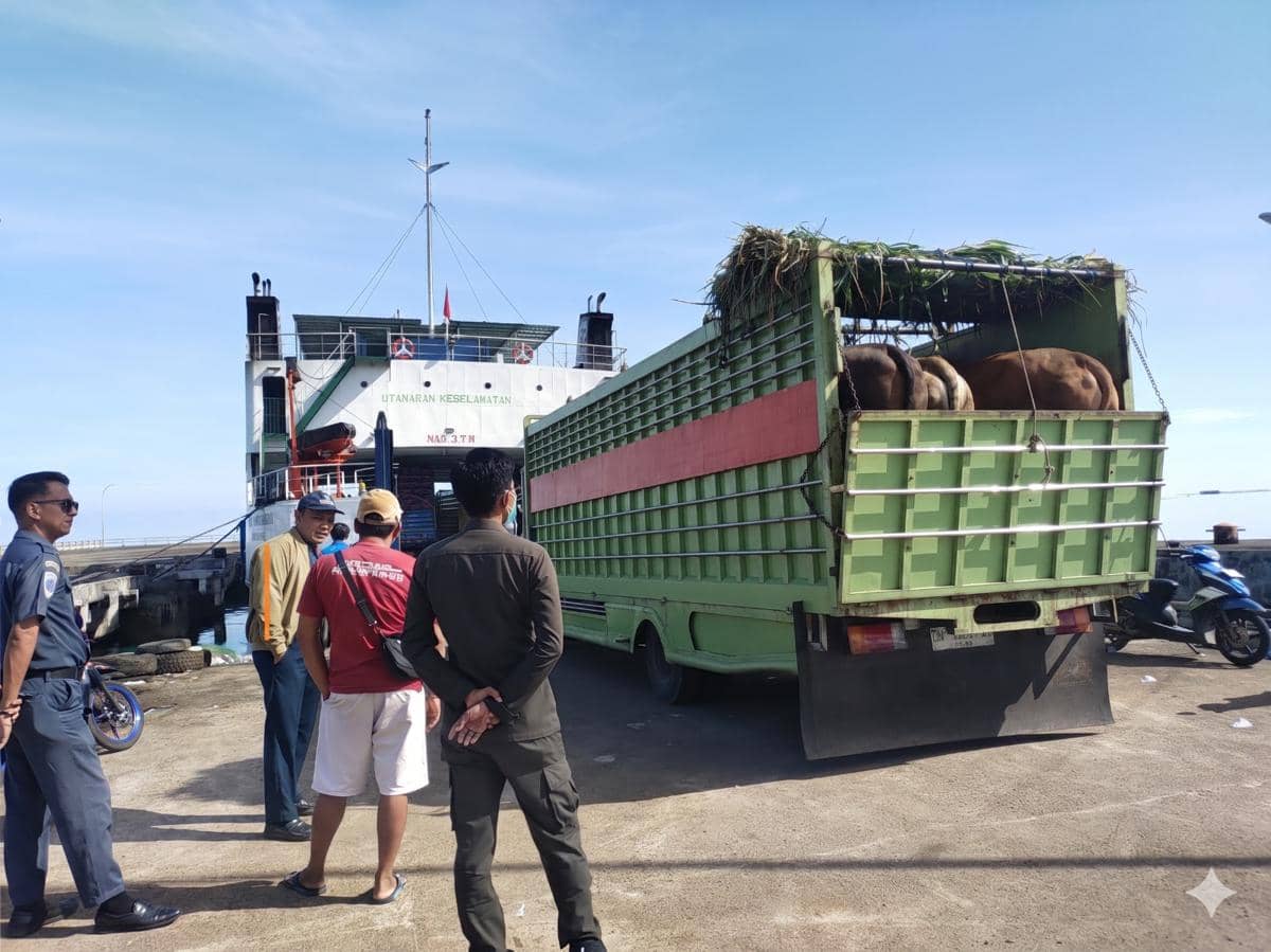 Pemeriksaan kesehatan hewan kurban Iduladha oleh Balai Karantina Sulawesi Selatan, Minggu (24/5/2026)/Dok. Badan Karantina Indonesia