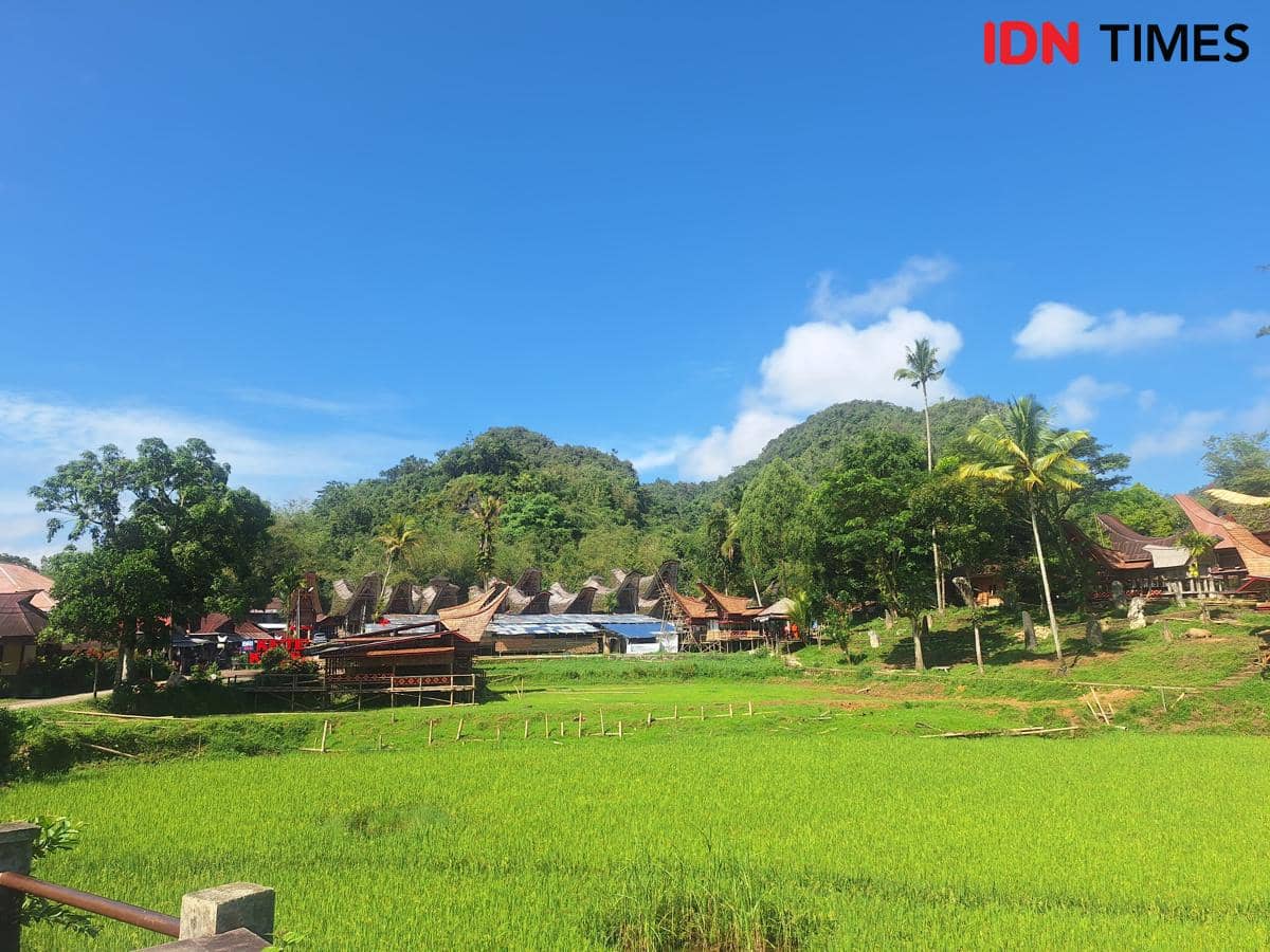Suasana Kete Kesu, desa wisata adat dan budaya Tana Toraja di Sulawesi Selatan dan makam kuno di gua serta tebing.