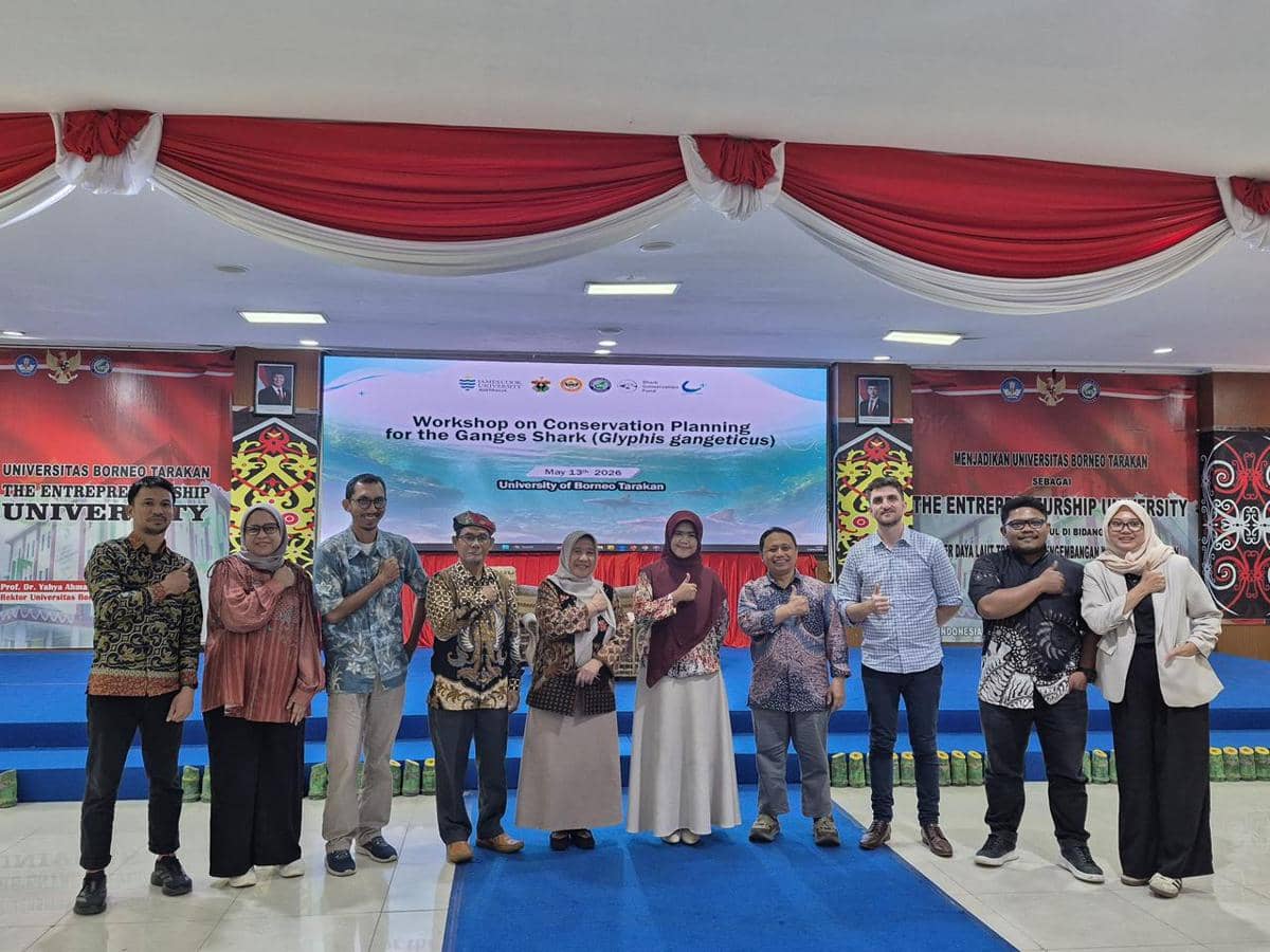 Tim peneliti dari Universitas Hasanuddin (Unhas) bersama James Cook University dan Universitas Borneo Tarakan menemukan kembali populasi Hiu