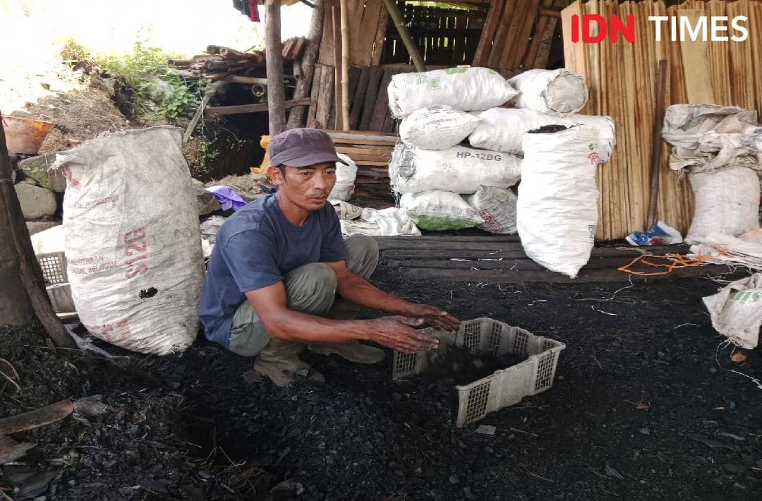 Seorang pria mengenakan kaus biru dan topi sedang memilah arang di tempat produksi dengan tumpukan karung di sekelilingnya.