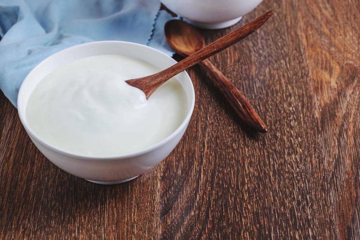ilustrasi yogurt