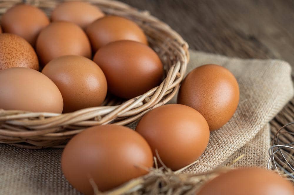 Salmonella Merebak, AS Tarik 19 Juta Telur dari 6 Negara Bagian