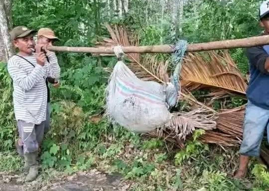 Mertua Lansia di Empat Lawang Tewas Dibunuh Menantu, Cekcok Panen Kopi