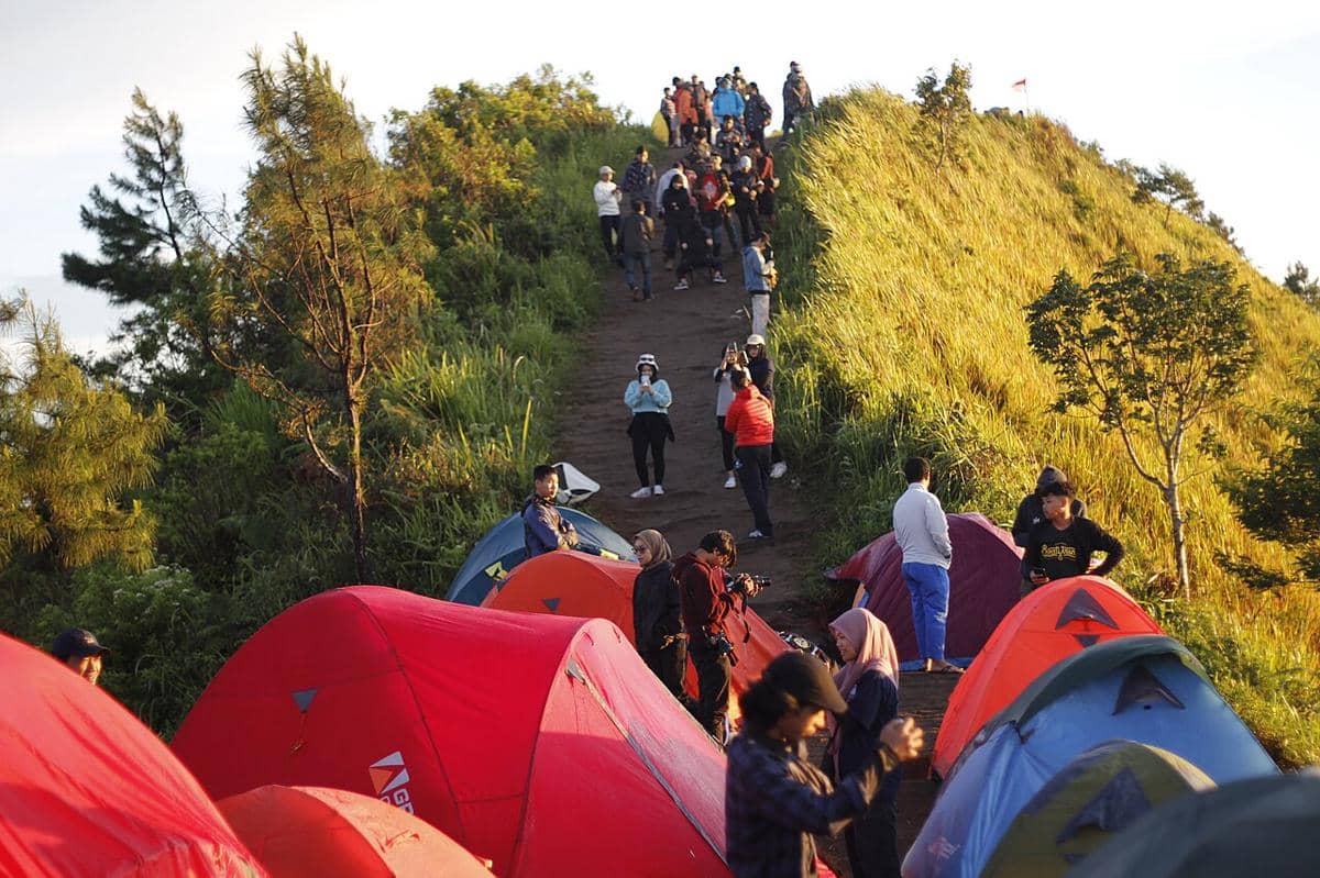 ilustrasi camping ground Gunung Andong