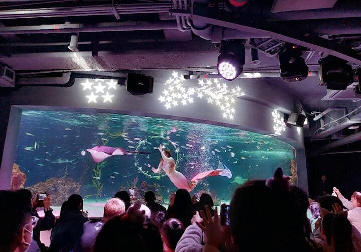 Aqua Planet 63, Korea Selatan