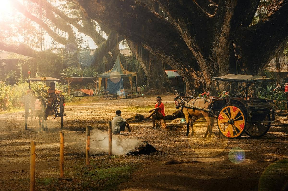 ilustrasi De Djawatan Forest