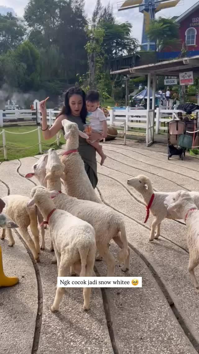 Seorang wanita menggendong anak kecil sambil memberi makan beberapa domba di area peternakan dengan suasana cerah dan hijau.