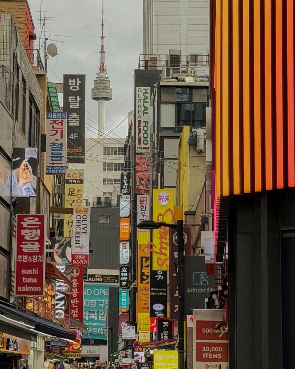 Gading Marten liburan di Korea Selatan.