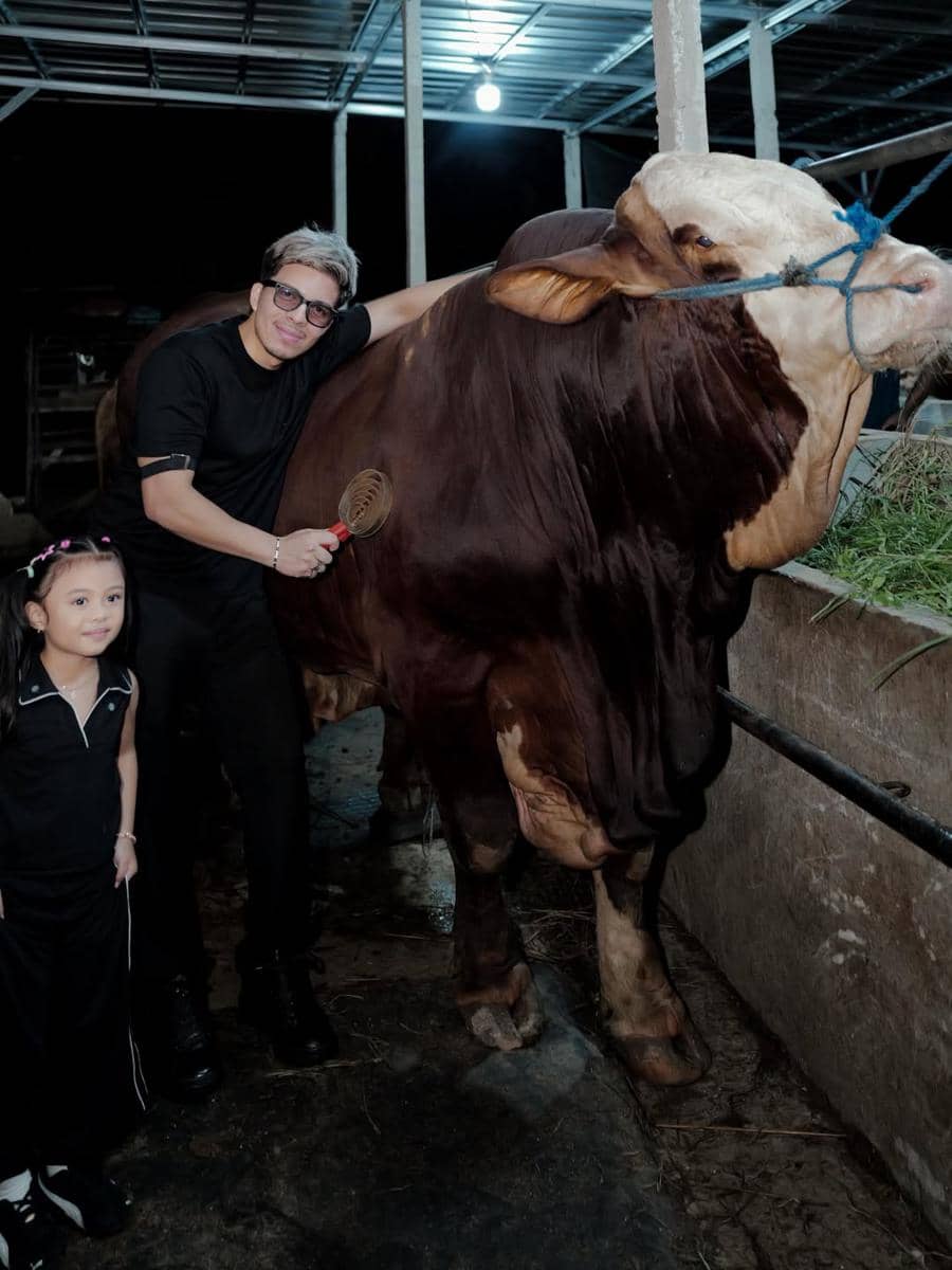 Seorang pria dan anak kecil berdiri di samping sapi besar di kandang, tampak sedang mempersiapkan hewan kurban pada malam hari.