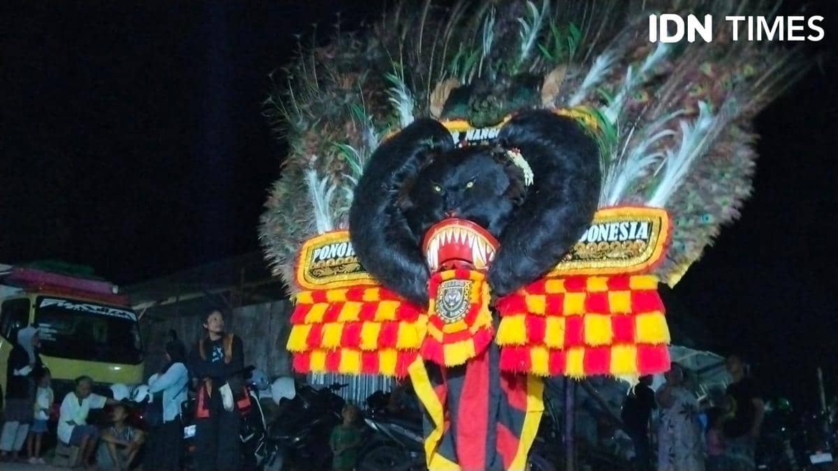 Fakta Unik Jeliteng, Singo Barong Reog Ponorogo Terbesar di Bali