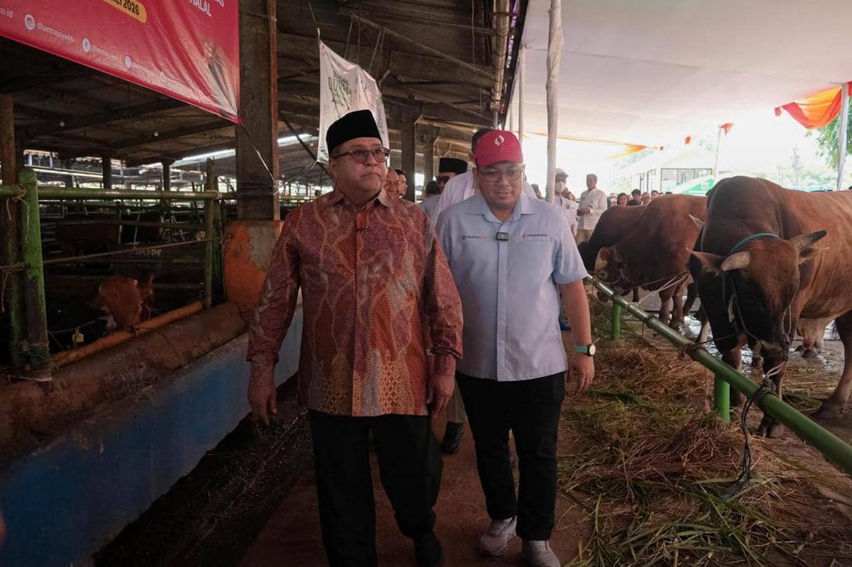 Pemprov DKI Libatkan 744 Petugas Pengawas Kurban, Salurkan 210 Sapi