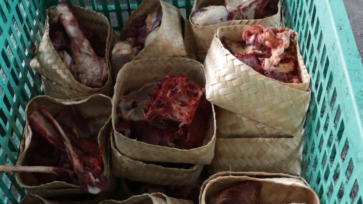 DLH Ajak Warga Terapkan EcoQurban, Iduladha.