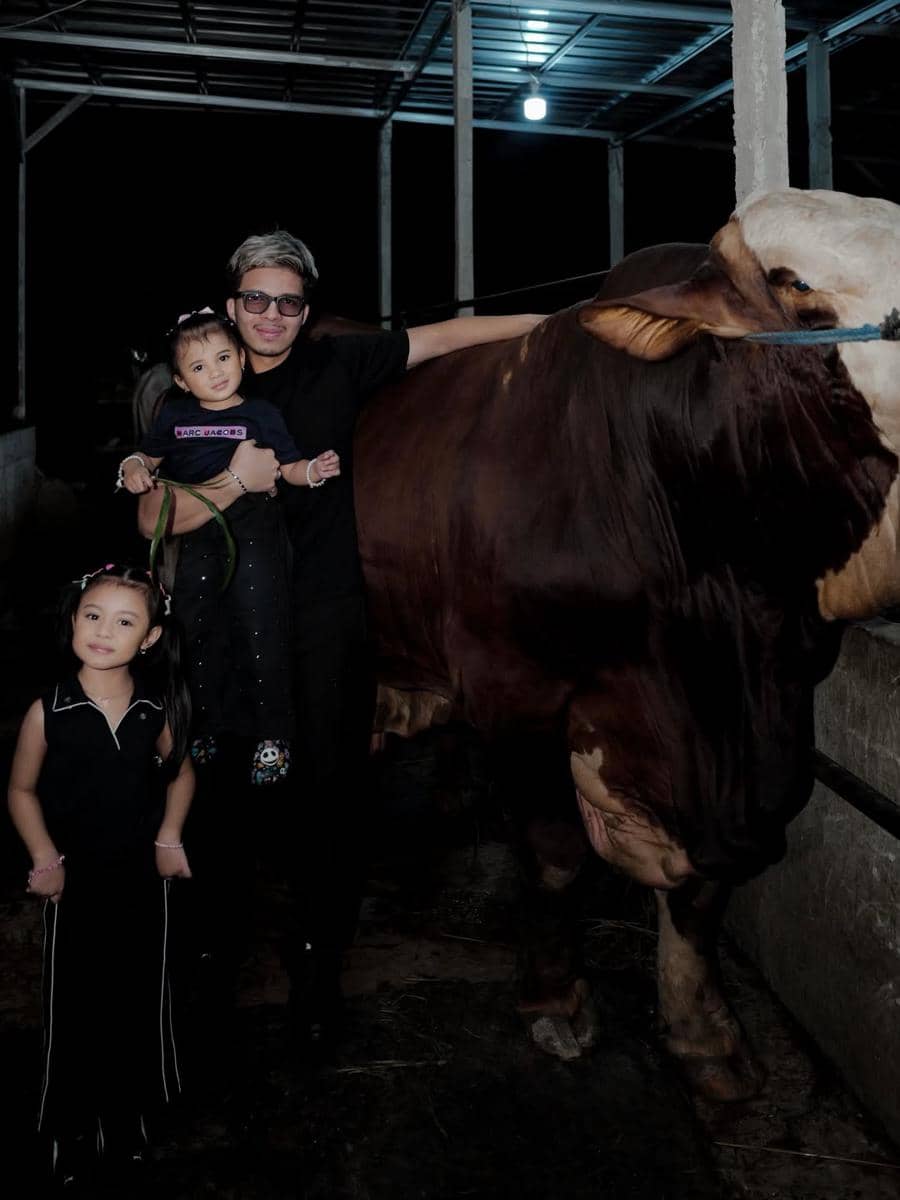 Seorang pria bersama dua anak kecil berdiri di samping sapi besar di kandang pada malam hari dengan pencahayaan lampu di atasnya.