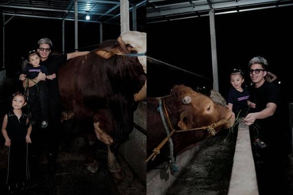 7 Potret Ameena dan Azura Beli Hewan Kurban, Ada 12 Sapi-Kambing