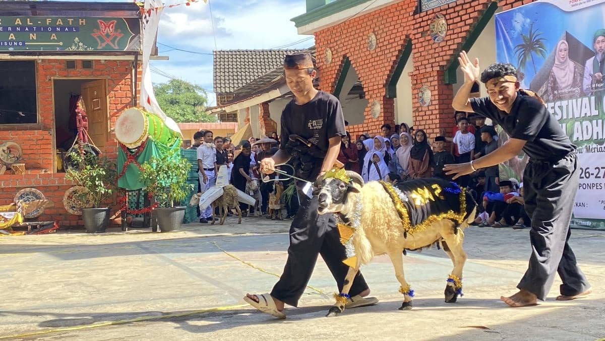 Ketika Domba Kurban di Sukabumi jadi Model Fashion Show dan Aktor Kabaret