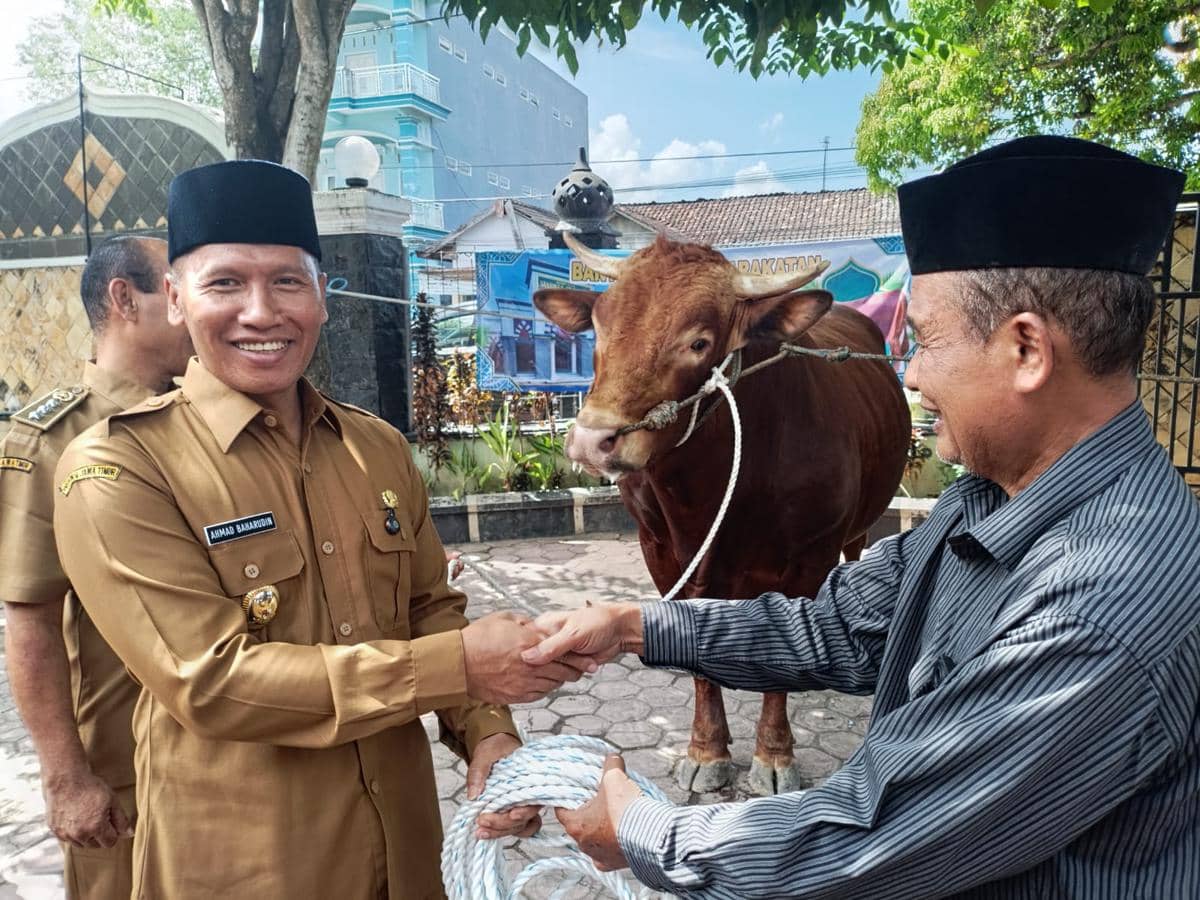 Penyerahan sapi hewan kurban Prabowo Subianto ke takmir masjid. IDN Times/Bramanta Pamungkas