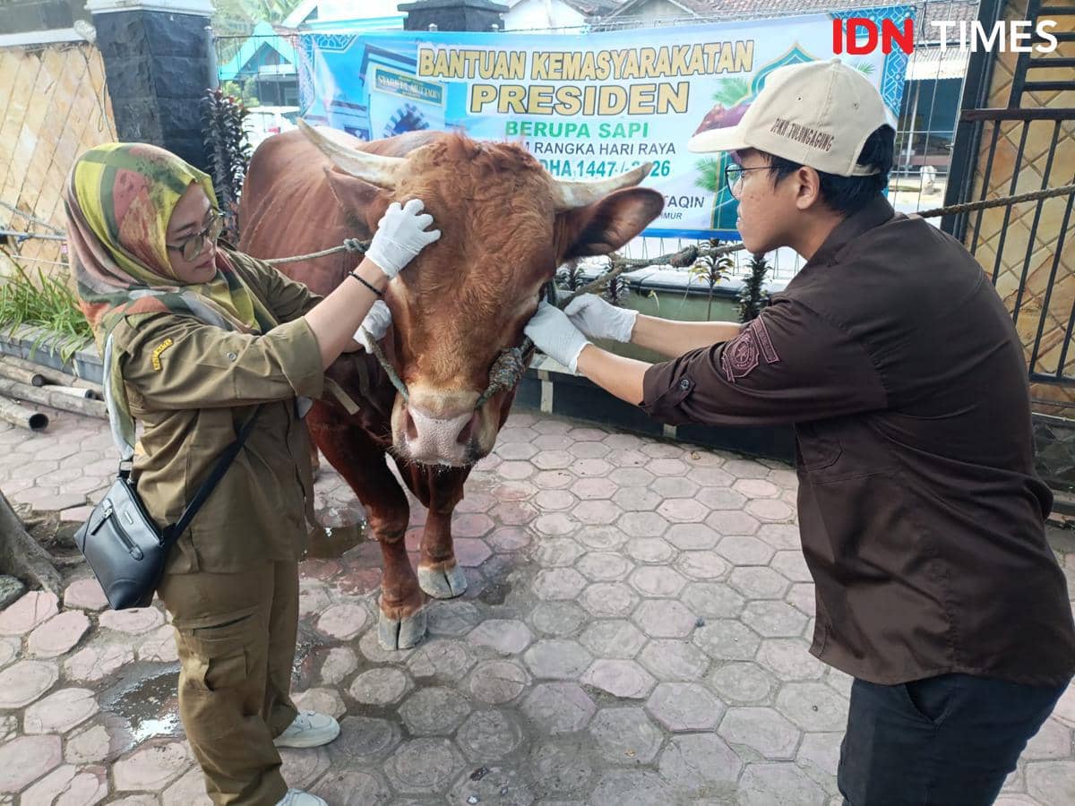 TOP 5: Sapi Kurban Prabowo Pakai APBN Rp100 M hingga Riset Bodong