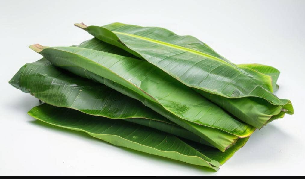 Beberapa lembar daun pisang hijau segar tersusun rapi di atas permukaan putih dengan tekstur mengilap alami.