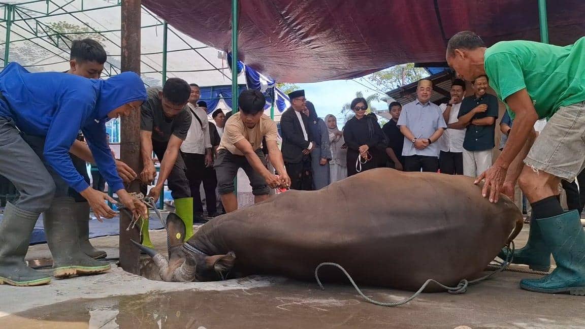Beberapa orang mengenakan sepatu bot sedang memegang sapi yang akan disembelih saat prosesi kurban, disaksikan sejumlah pegawai di Makassar.