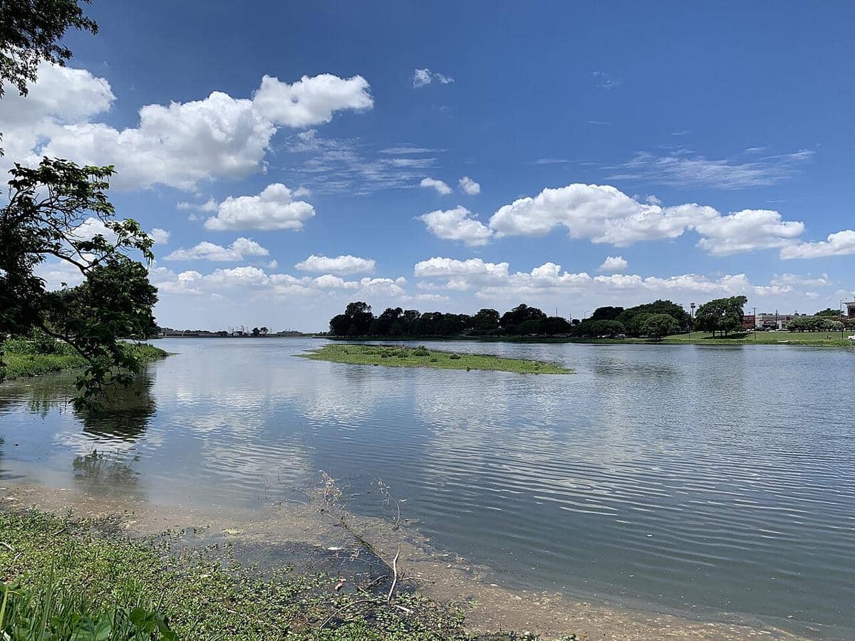 Bachman Lake Park
