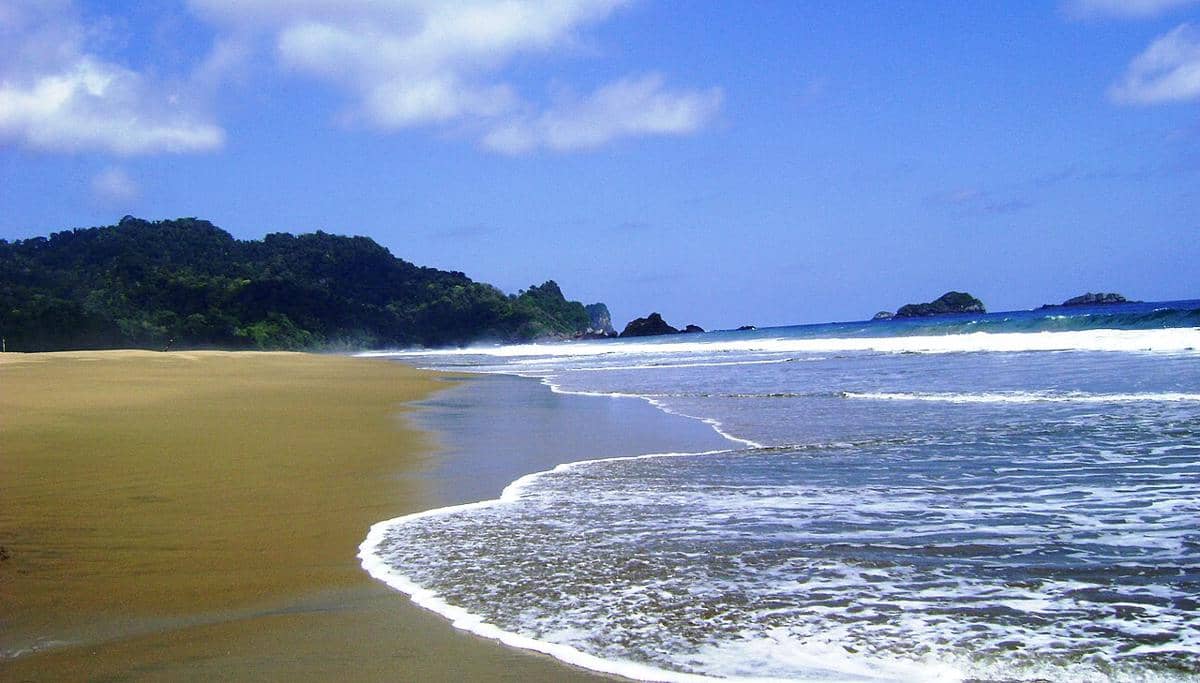Pantai Sukamade