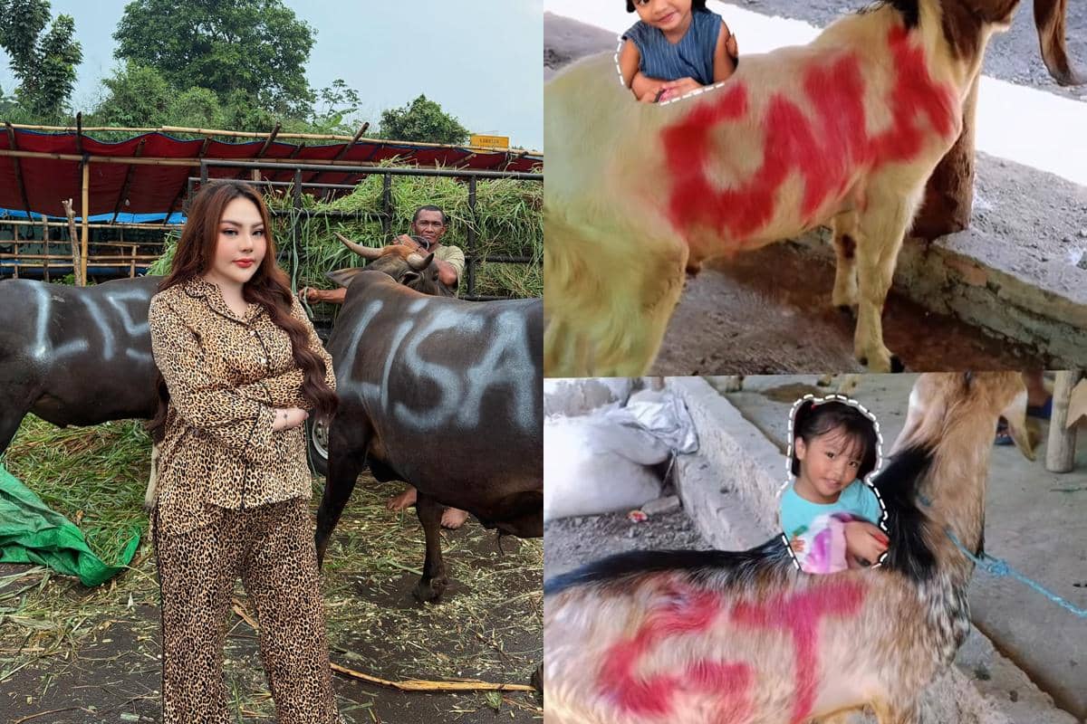 Seorang wanita berbusana motif leopard berdiri di dekat sapi kurban bertuliskan nama, serta dua anak kecil berpose dengan kambing kurban bertanda cat merah.
