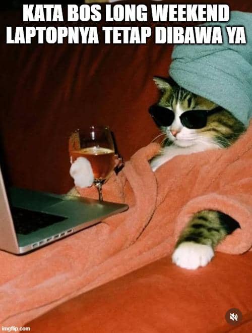 Seekor kucing mengenakan jubah mandi, handuk di kepala, dan kacamata hitam sambil memegang gelas serta menatap laptop di sofa.