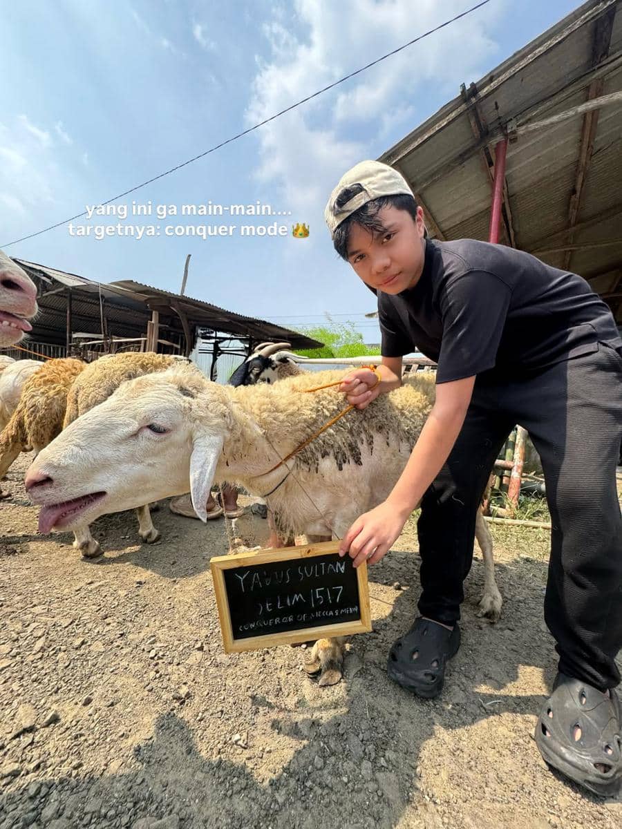 Seorang anak laki-laki mengenakan topi dan pakaian hitam memegang seekor domba kurban di area peternakan dengan papan nama kecil di leher domba.
