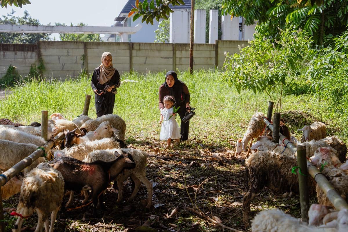 Seorang wanita berhijab bersama anak kecil dan seorang wanita lain berdiri di dekat kumpulan kambing di area rumput saat Idul Adha.