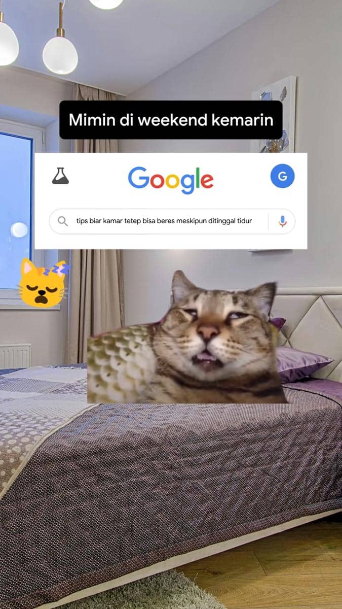 Meme kucing dengan ekspresi lelah di atas tempat tidur, disertai tangkapan layar pencarian Google tentang tips menjaga kamar tetap rapi.