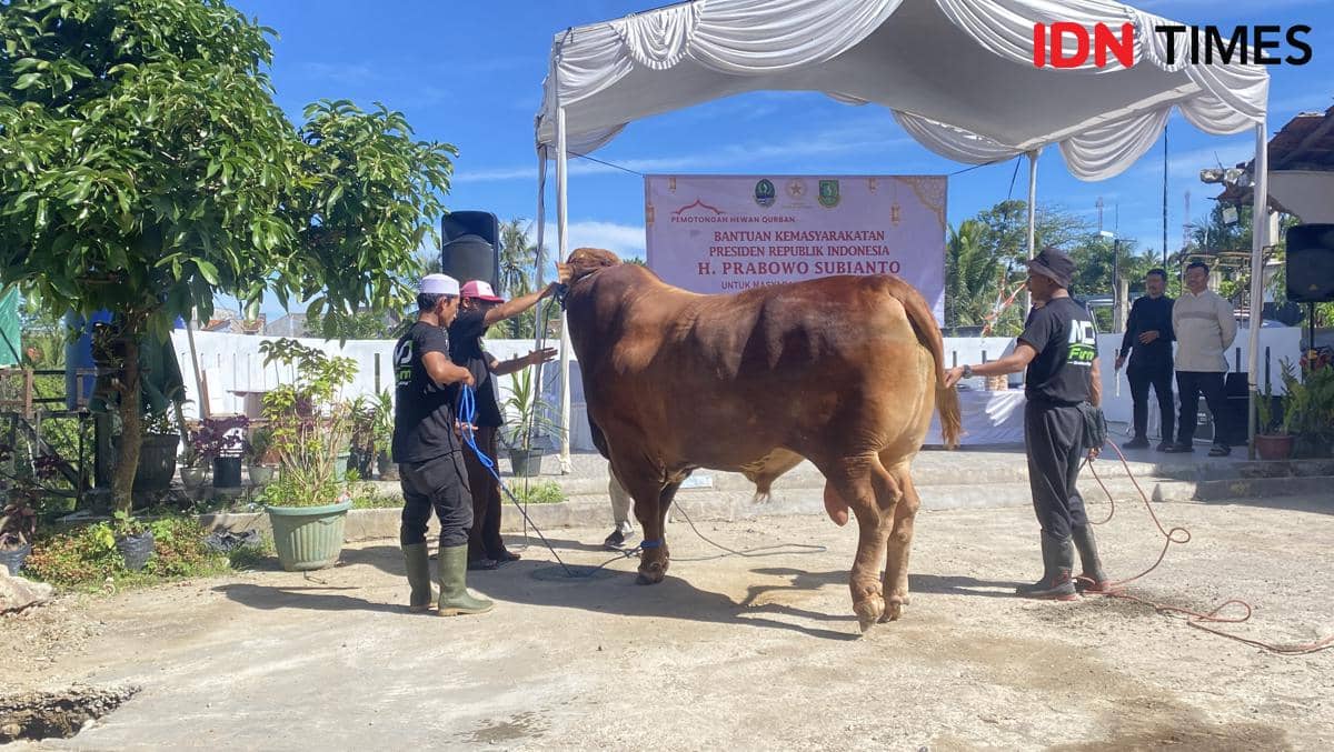 TOP 5: Istana Bantah Prabowo Kurban Sapi Pakai APBN hingga Riset Palsu