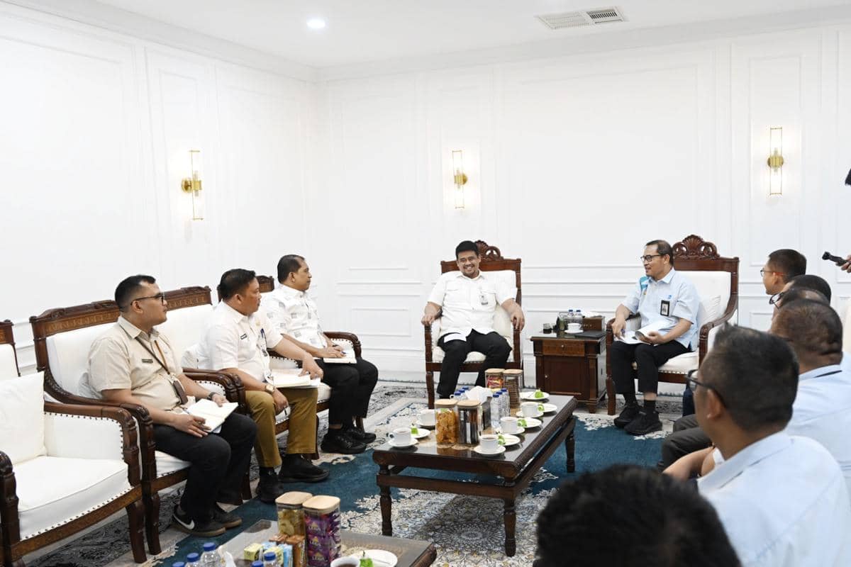 Gubsu_Terima Audiensi GM. PLN IUD Sumut 3.jpg